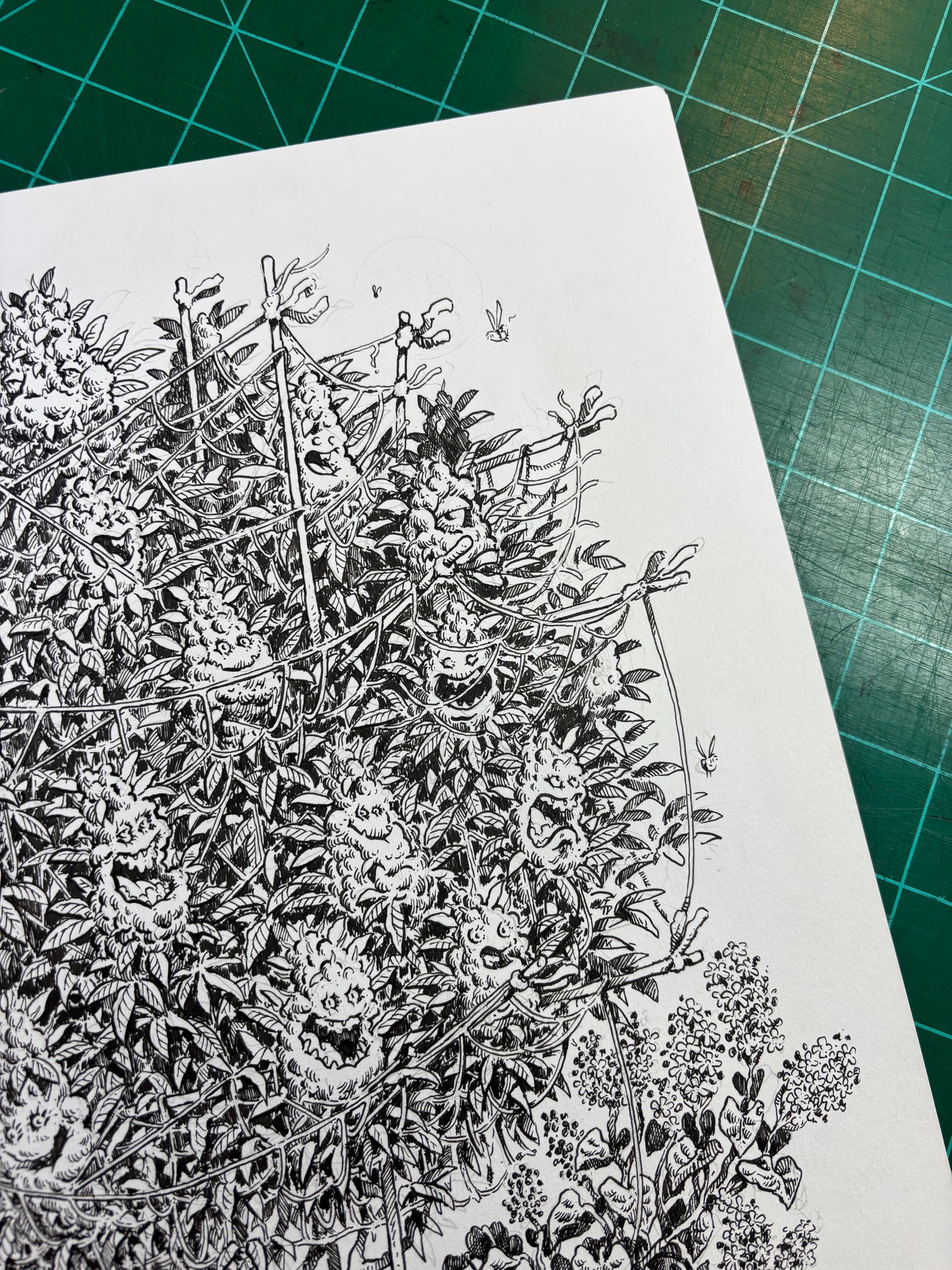 The MotherPlant