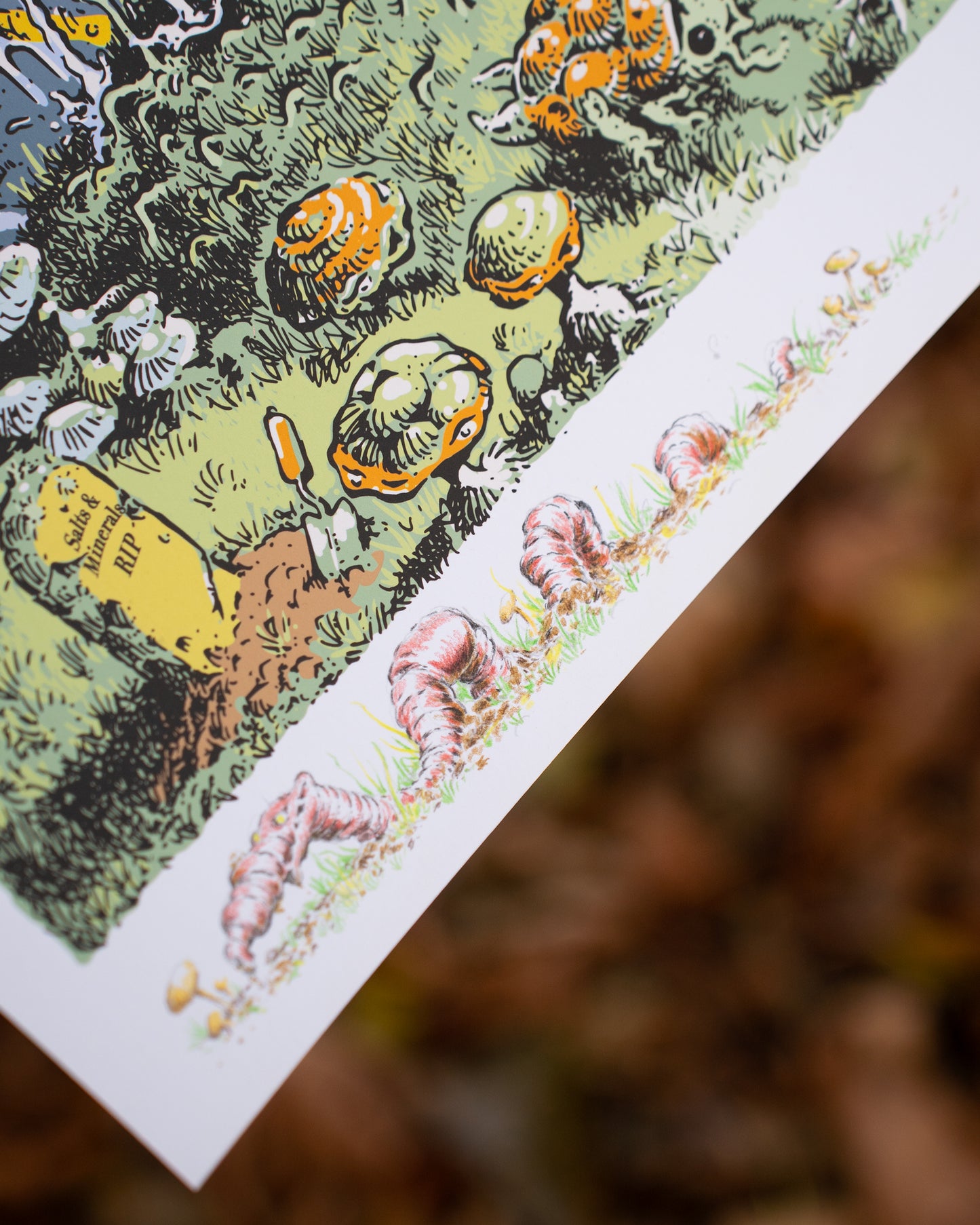 NEW! The Forest Dwellers (DOUBLE EDITION)