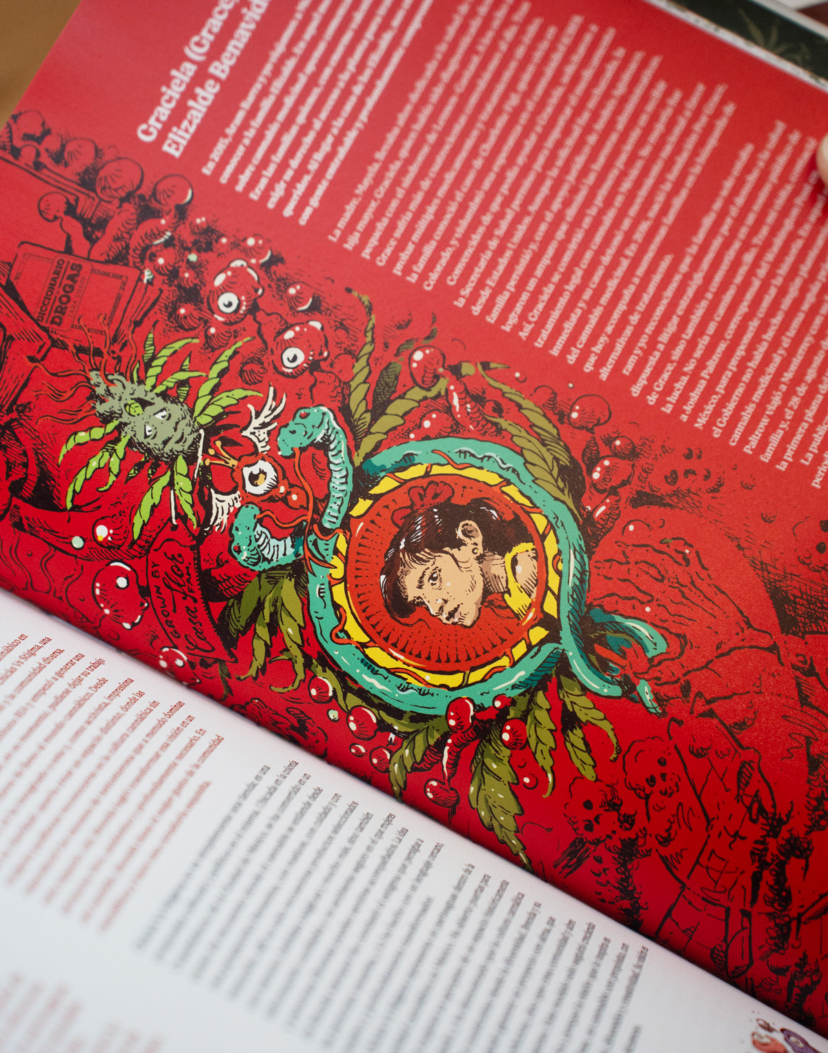The book GHoC: Mexico
