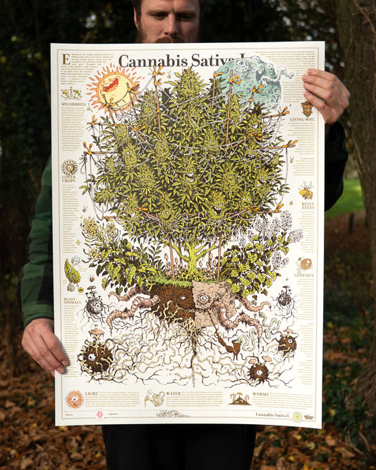 NEW! The Motherplant