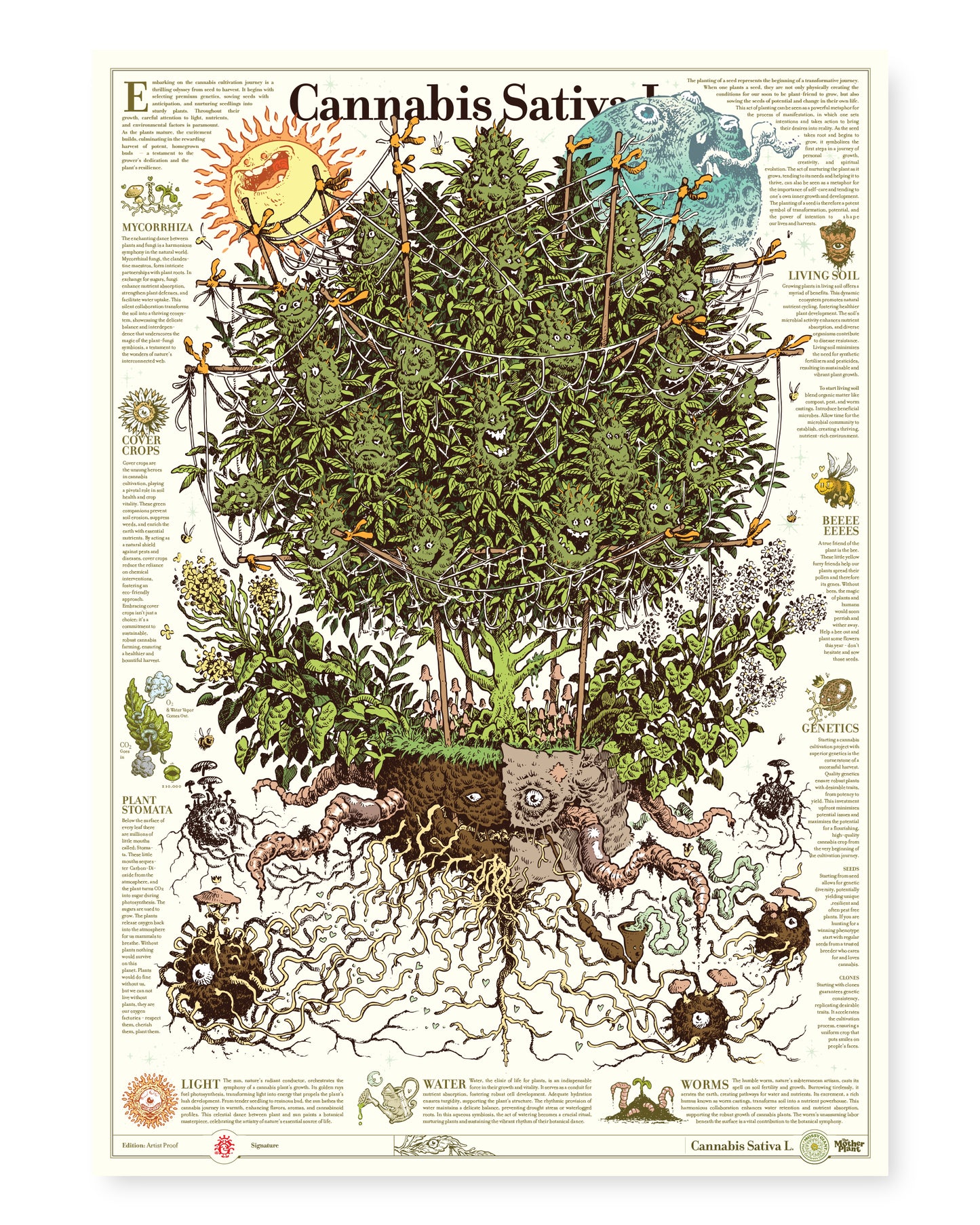 The Motherplant