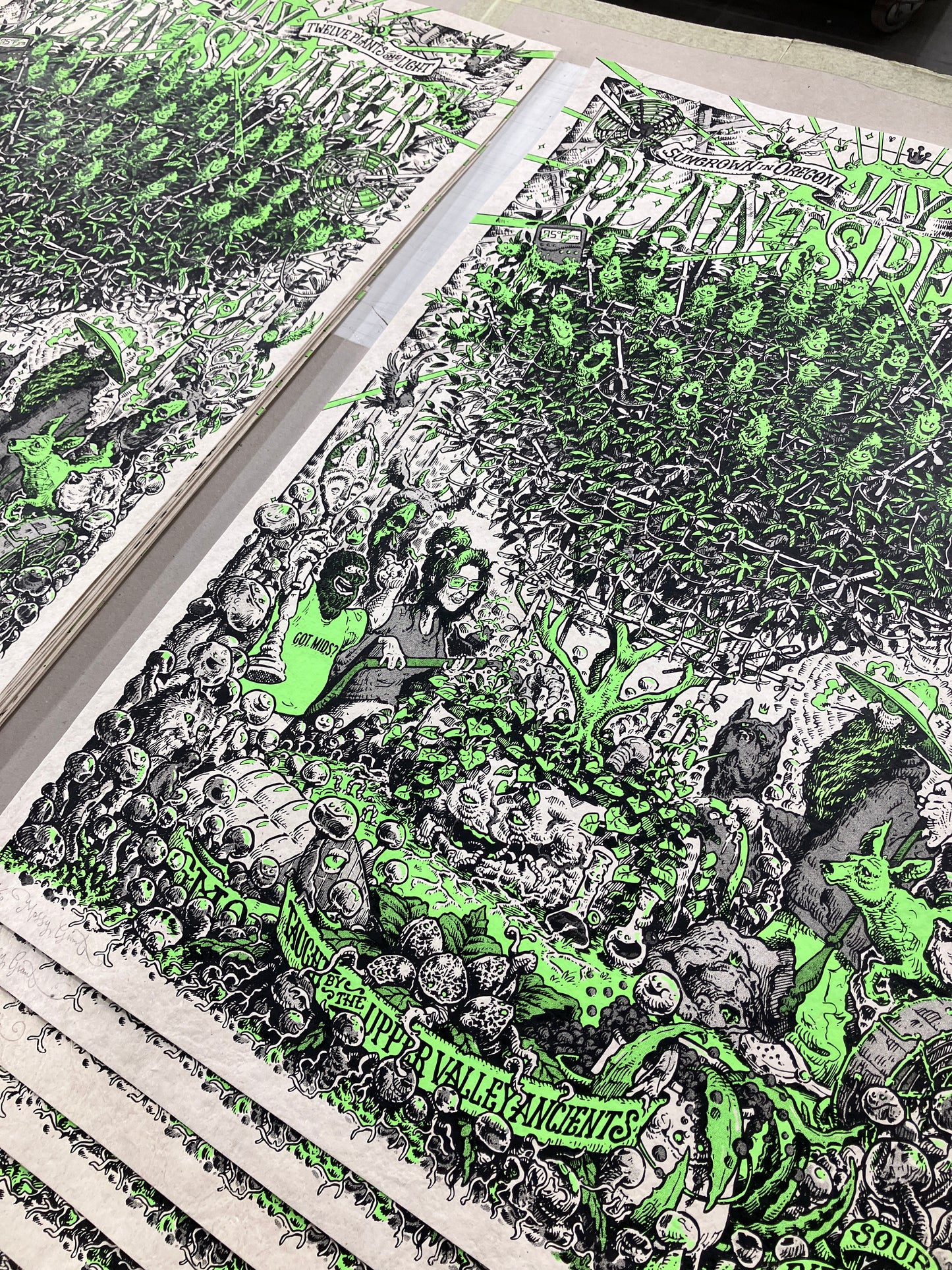 Jay Plantspeaker (HEMP)