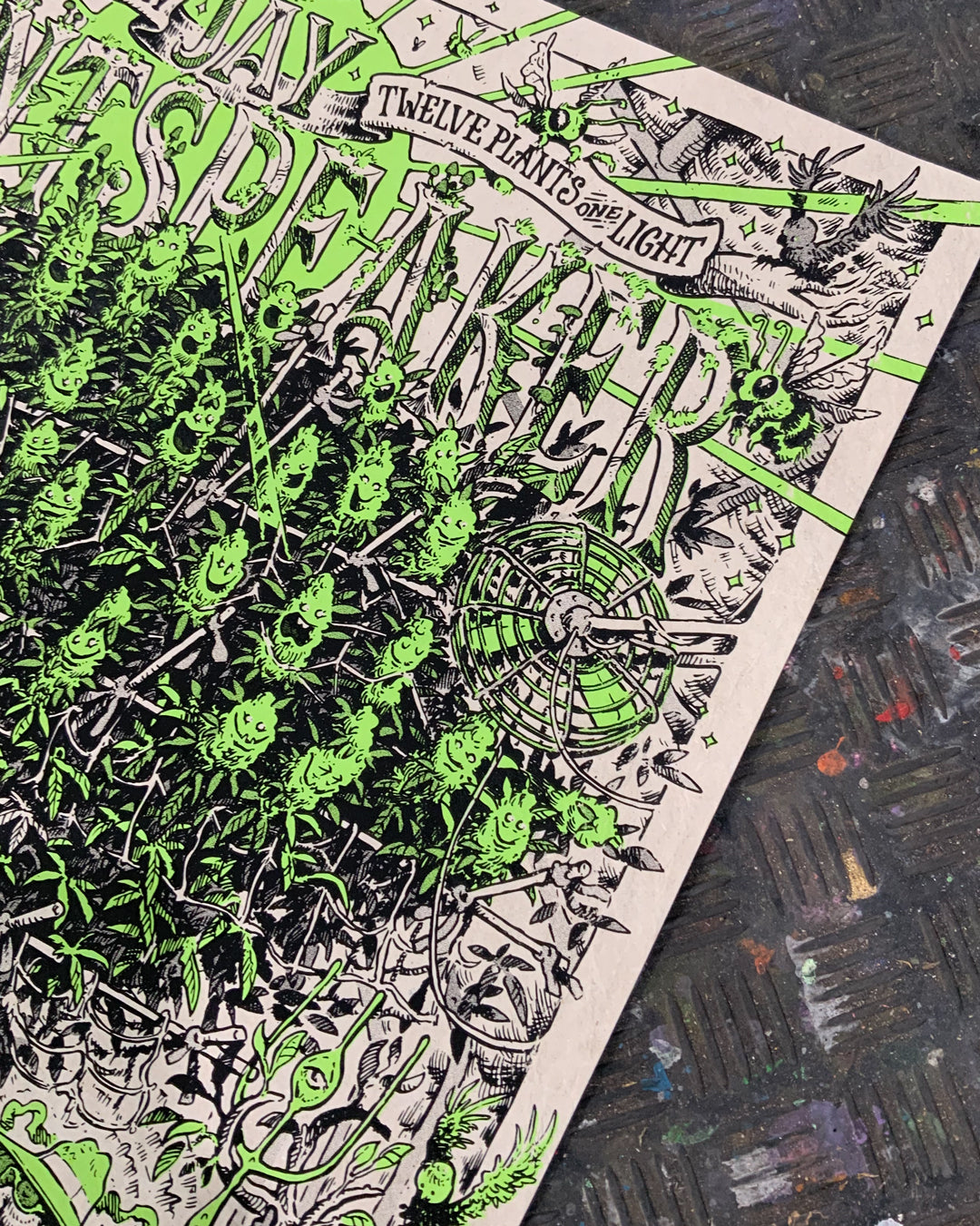 Jay Plantspeaker (HEMP)